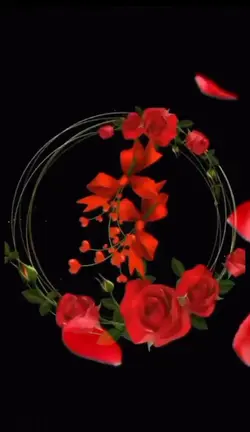 red rose