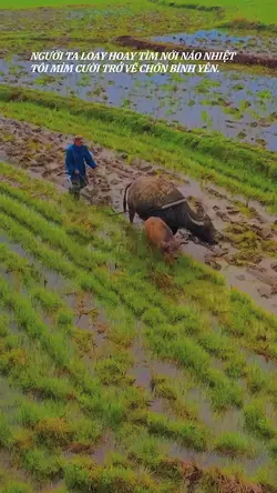 SLOW CẢNH THÔN QUÊ