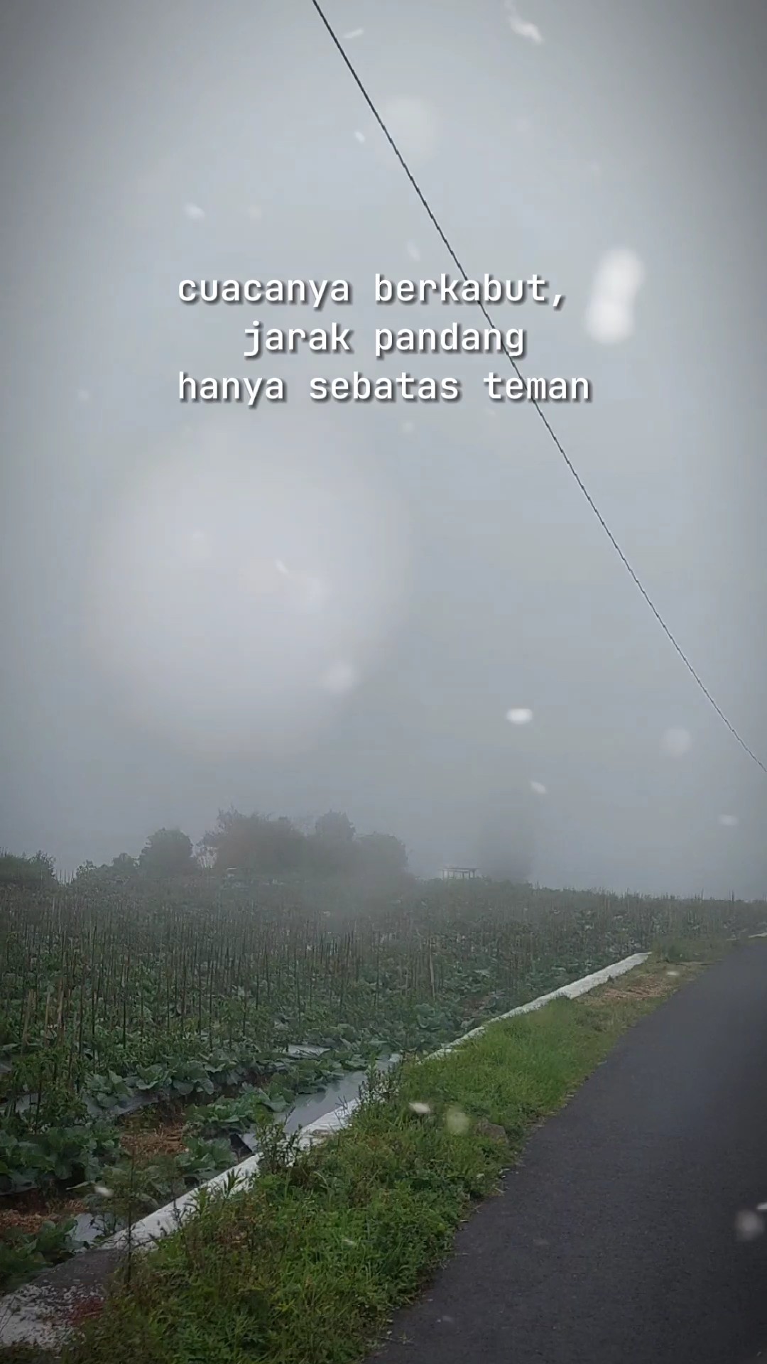 KABUT KLEBUS