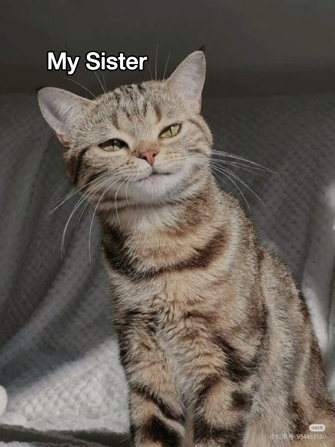 Meine Schwester gegen mich