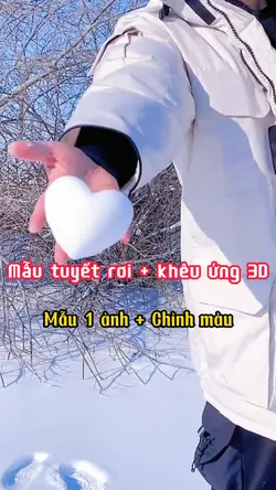 Mẫu tuyết rơi + 3D