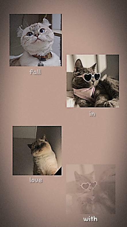 fall in love with u