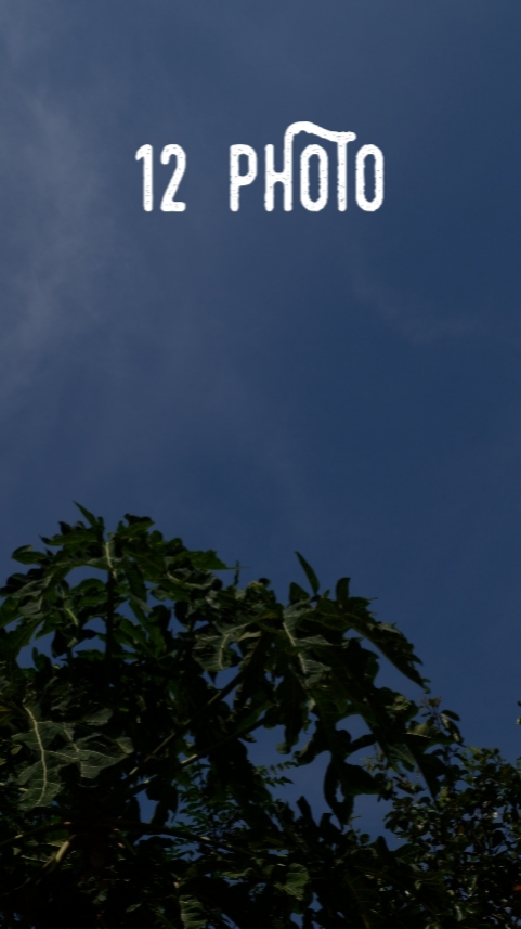 12 PHOTO 