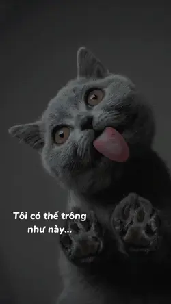 BEAT2 ẢNH XỊN