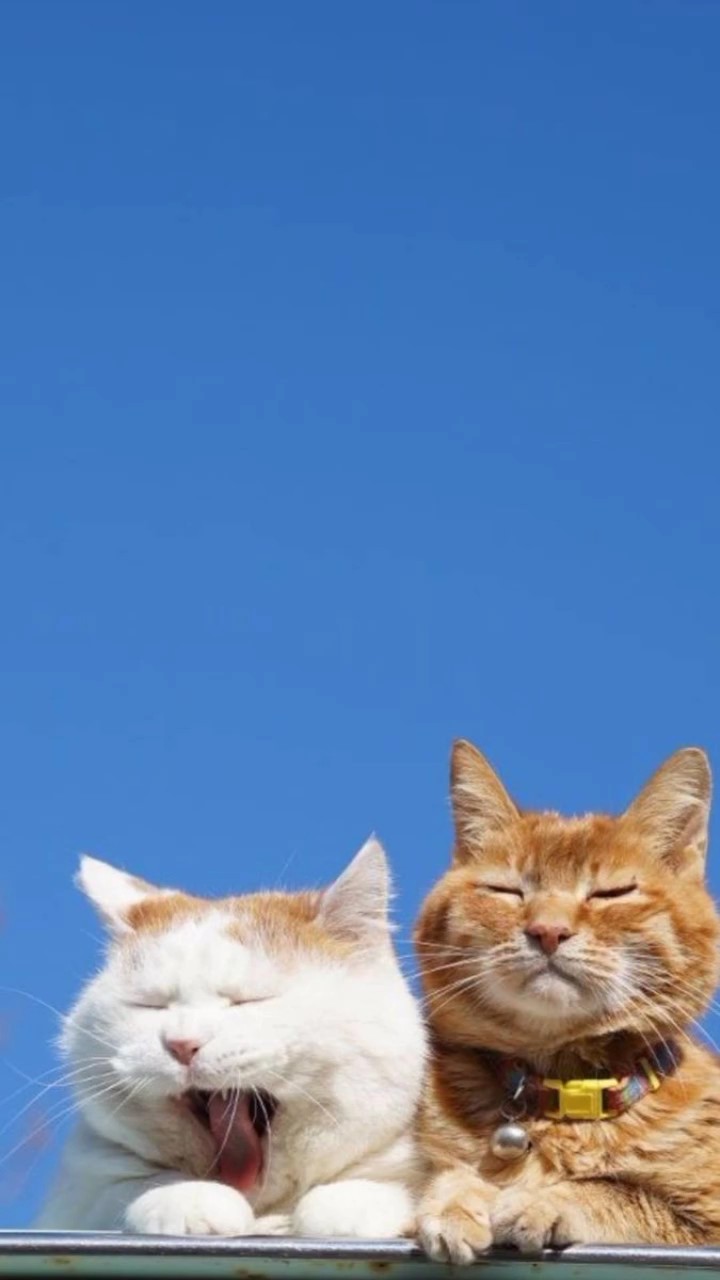 27 fotoğraf