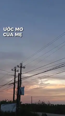 mẫu 8/3