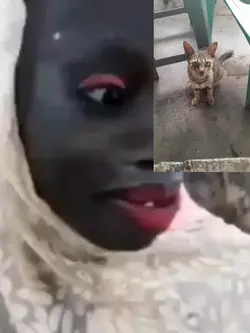 video lucu buat tmn