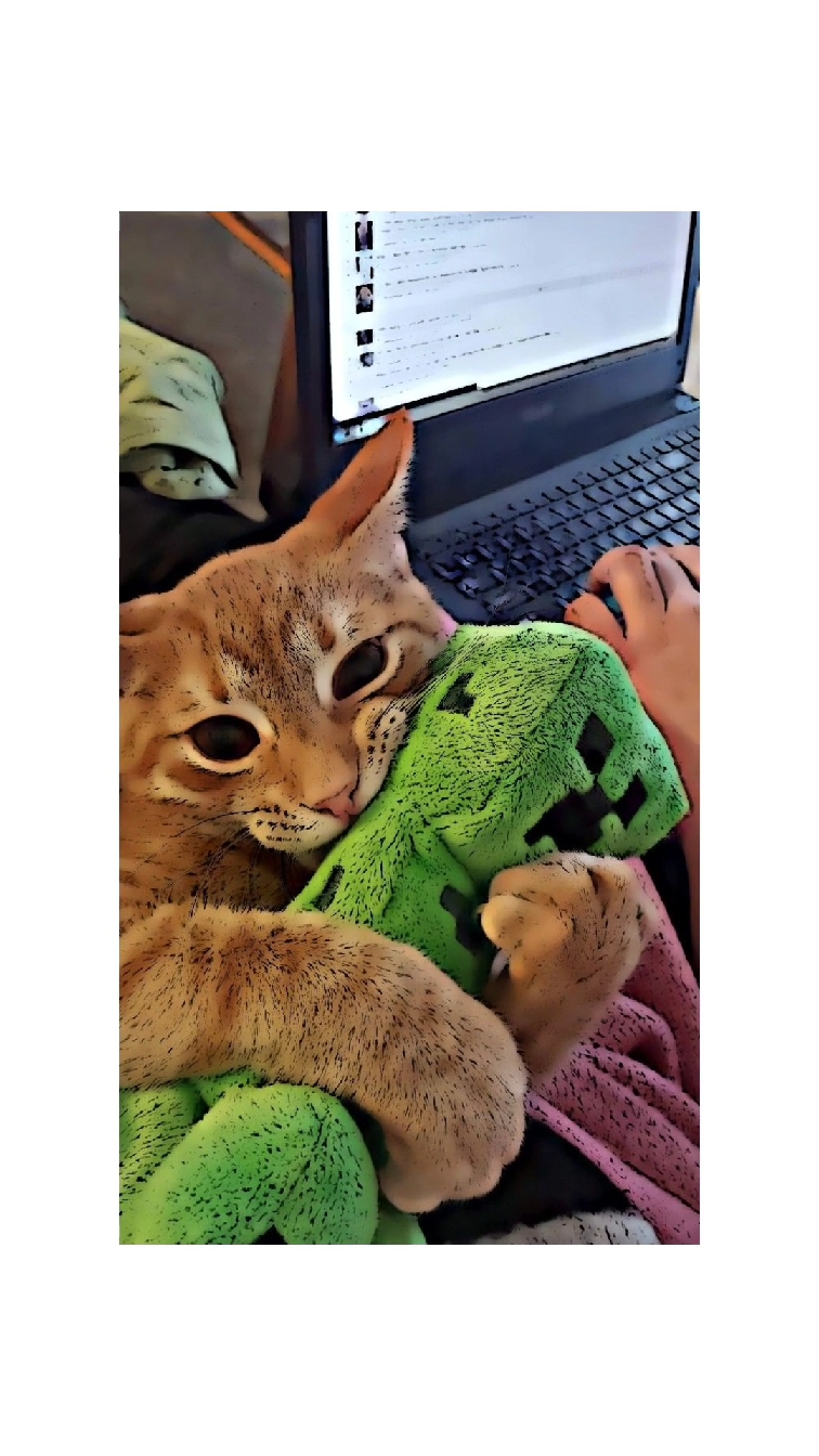 Cara de póquer