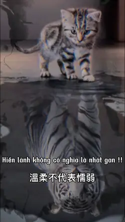 mẫu đăng story 🐒