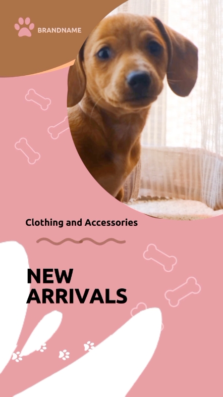 Pet clothing & accessories