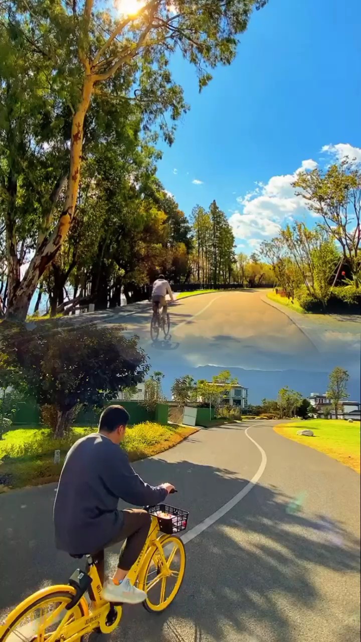 2 videos 
