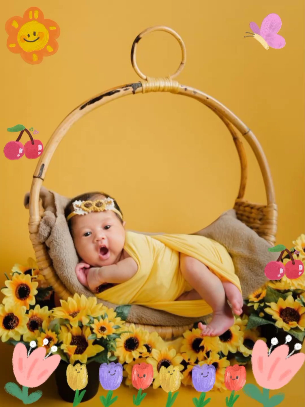 Album bayi