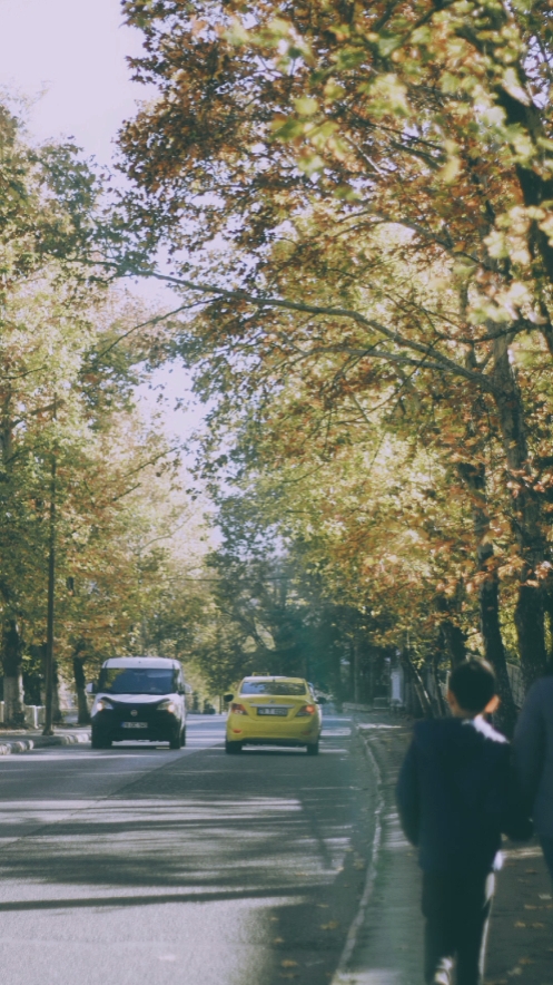 filter analog