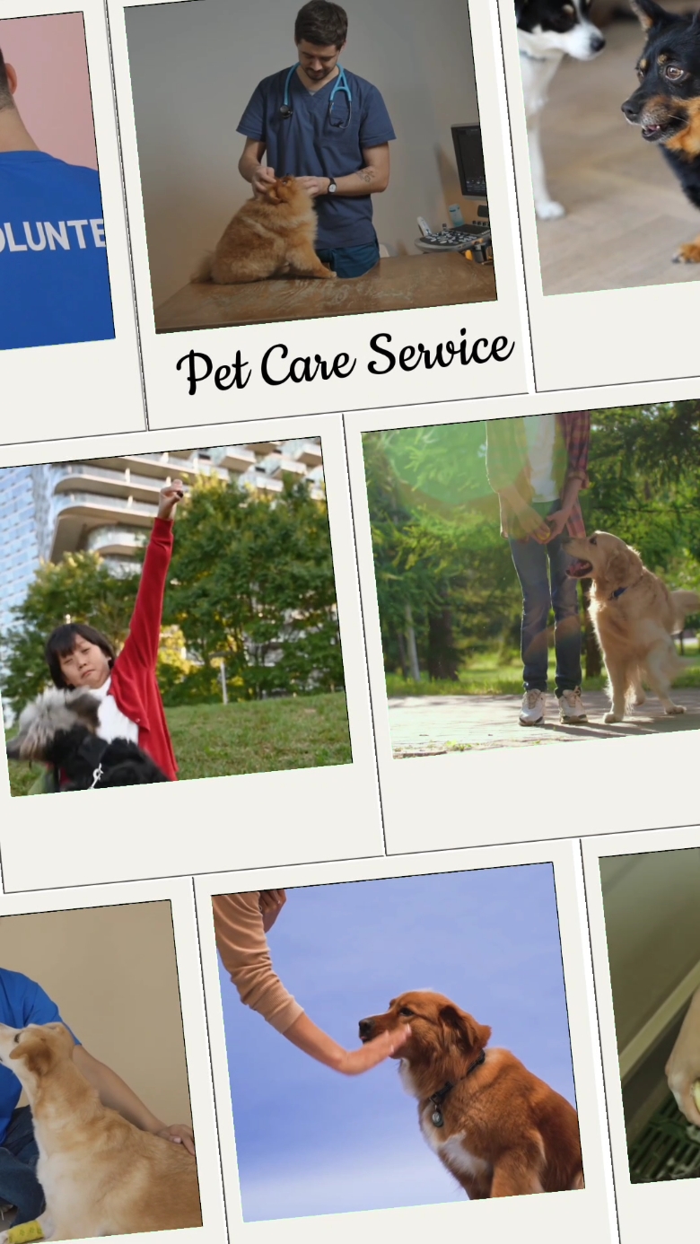 Promo Pet Care Service - Style Collage