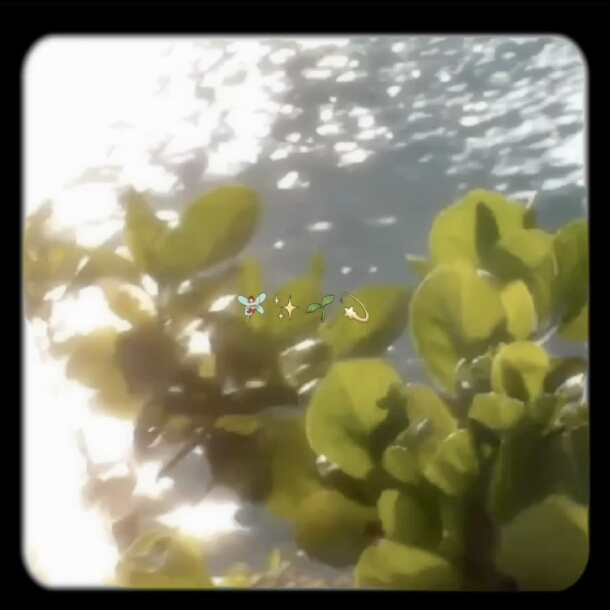 daylight 