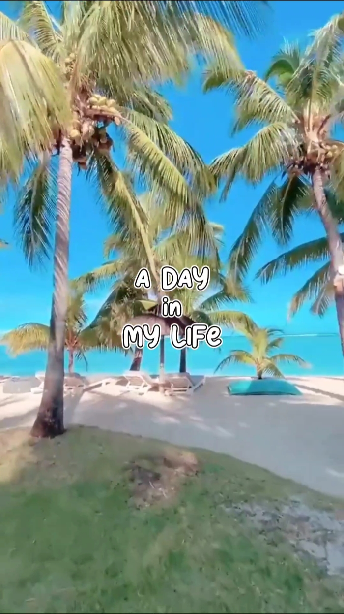 Un Día En Mi Vida 2,3