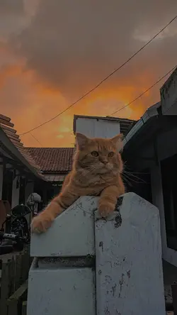 lirik lagu