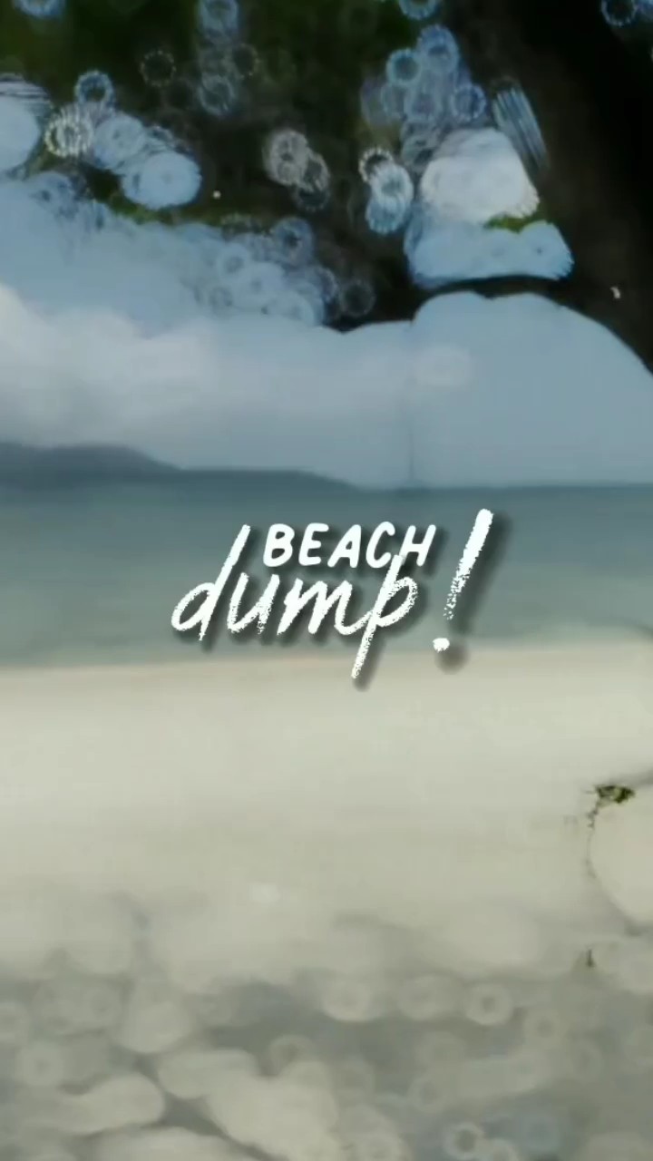 Dépôt de plage