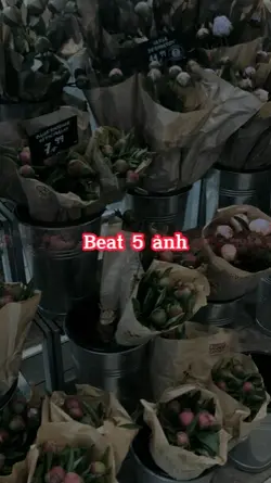 Beat 5 ảnh