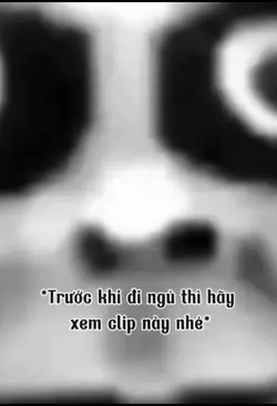 share vd