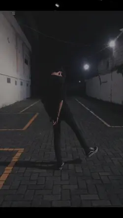 Alan walker-not you 
