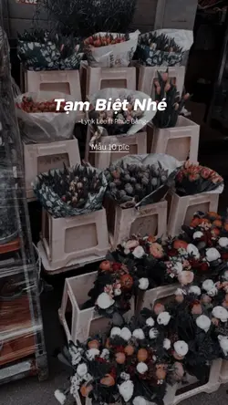 [10] ảnh kỉ niệm
