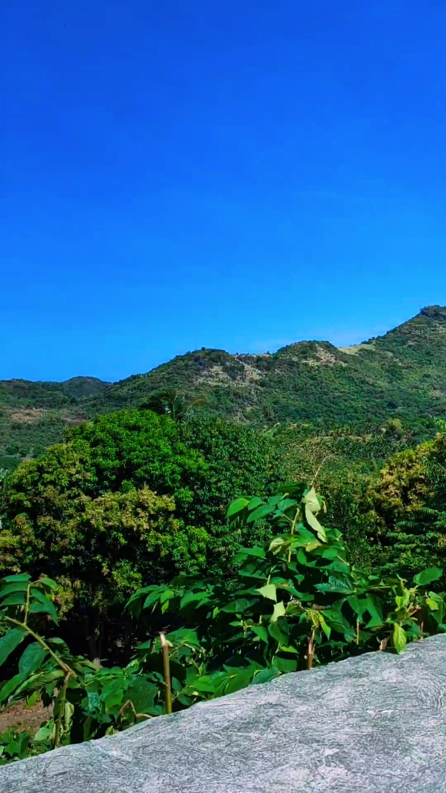 Paglalakbay