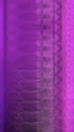 perfect loop 