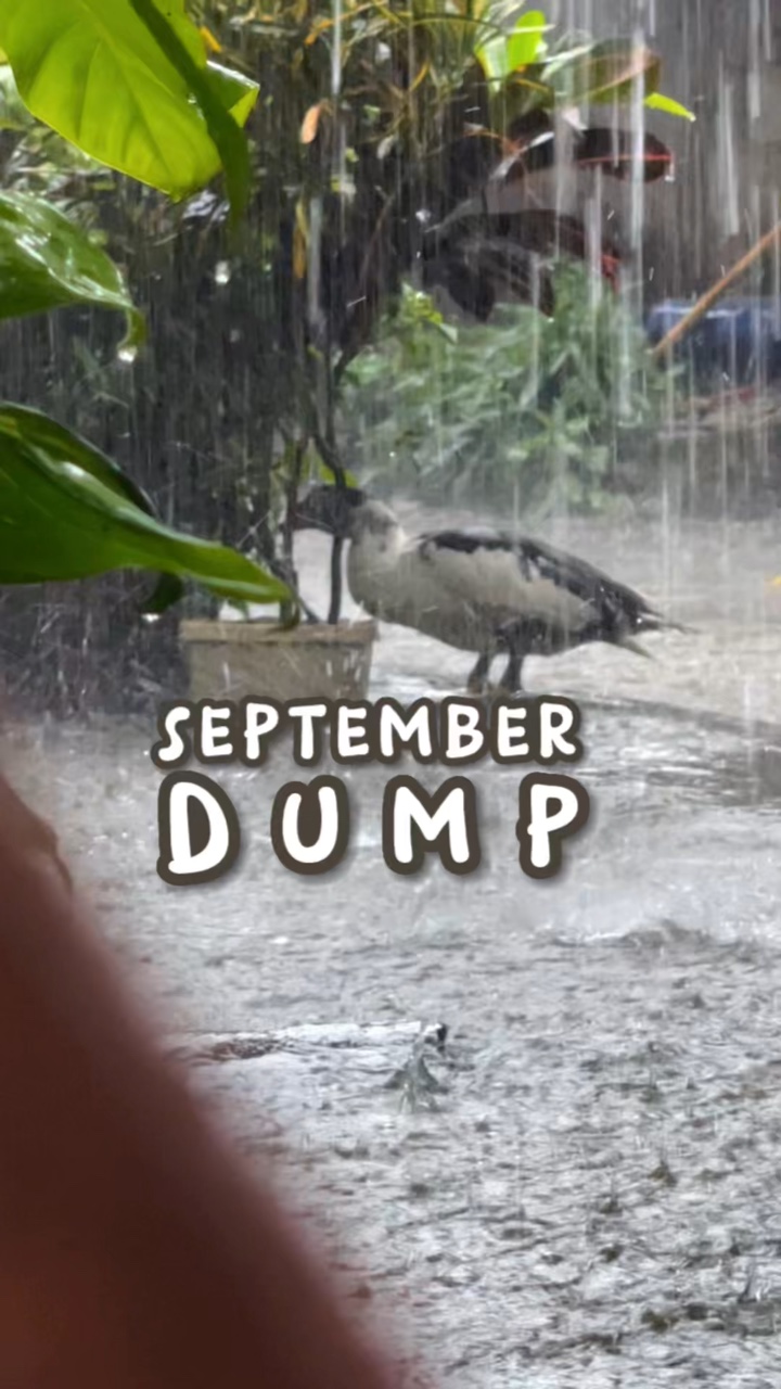 Volcado de septiembre. 🌦