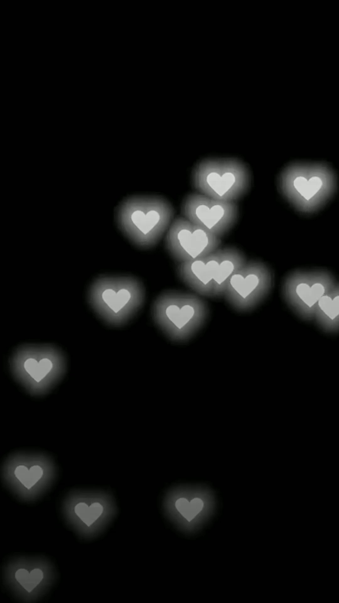 14 Bilder