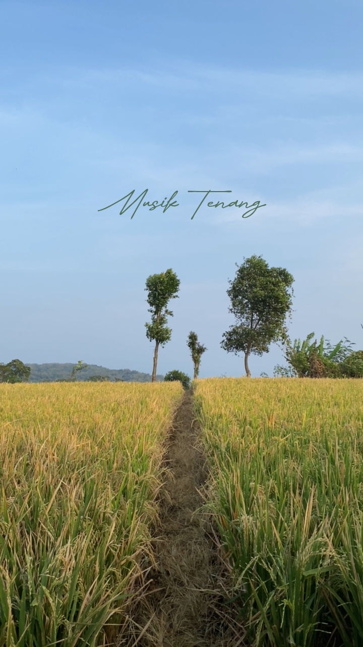 Música tenang 🍃