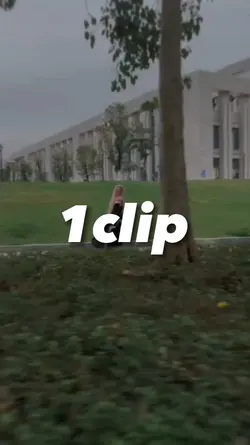 velocity 1clip 