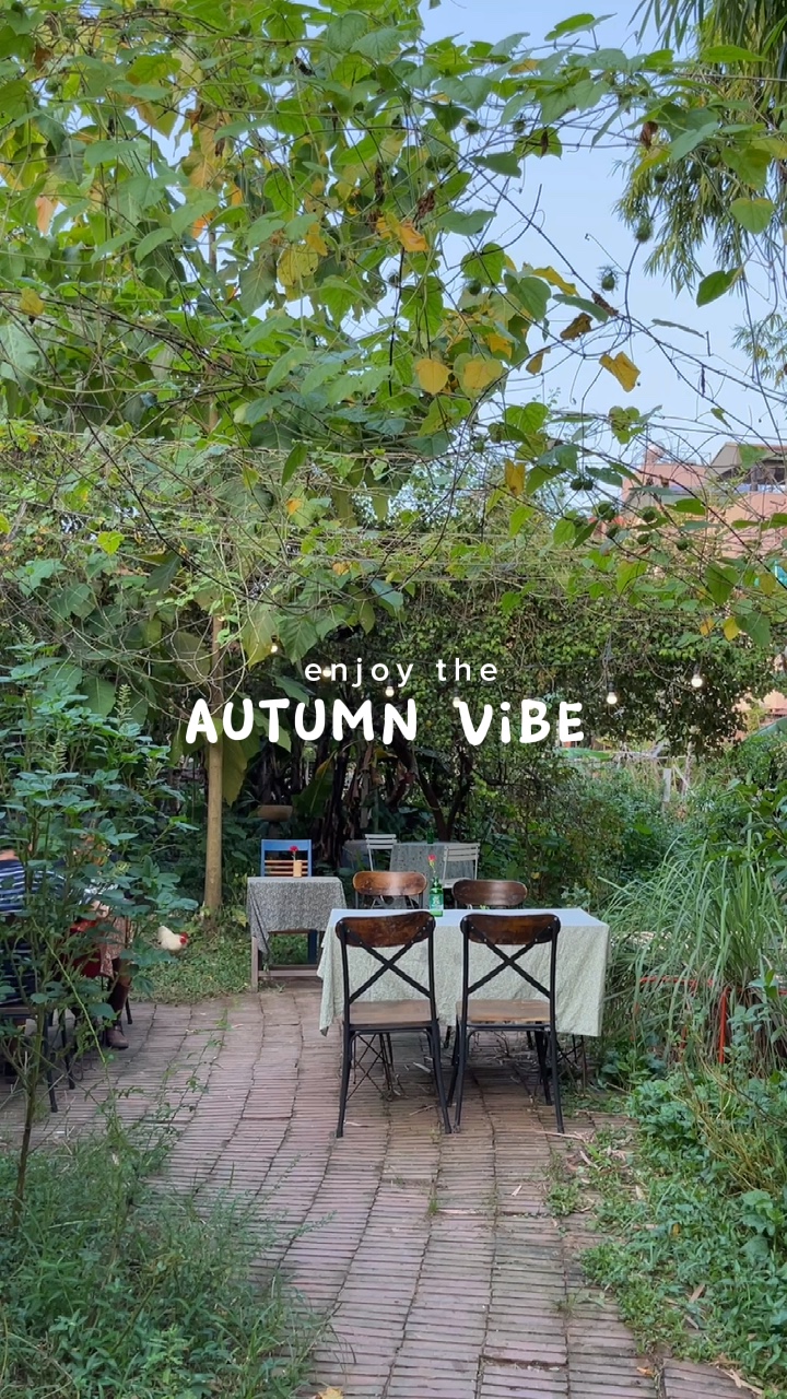 Vibra de otoño