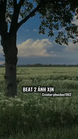 Beat 2 ảnh