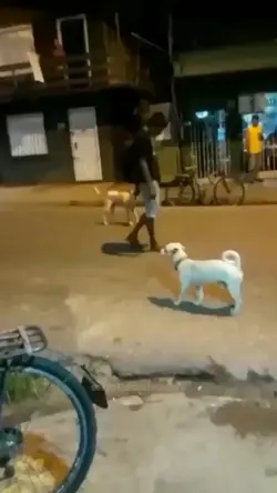 video lucu mentahan