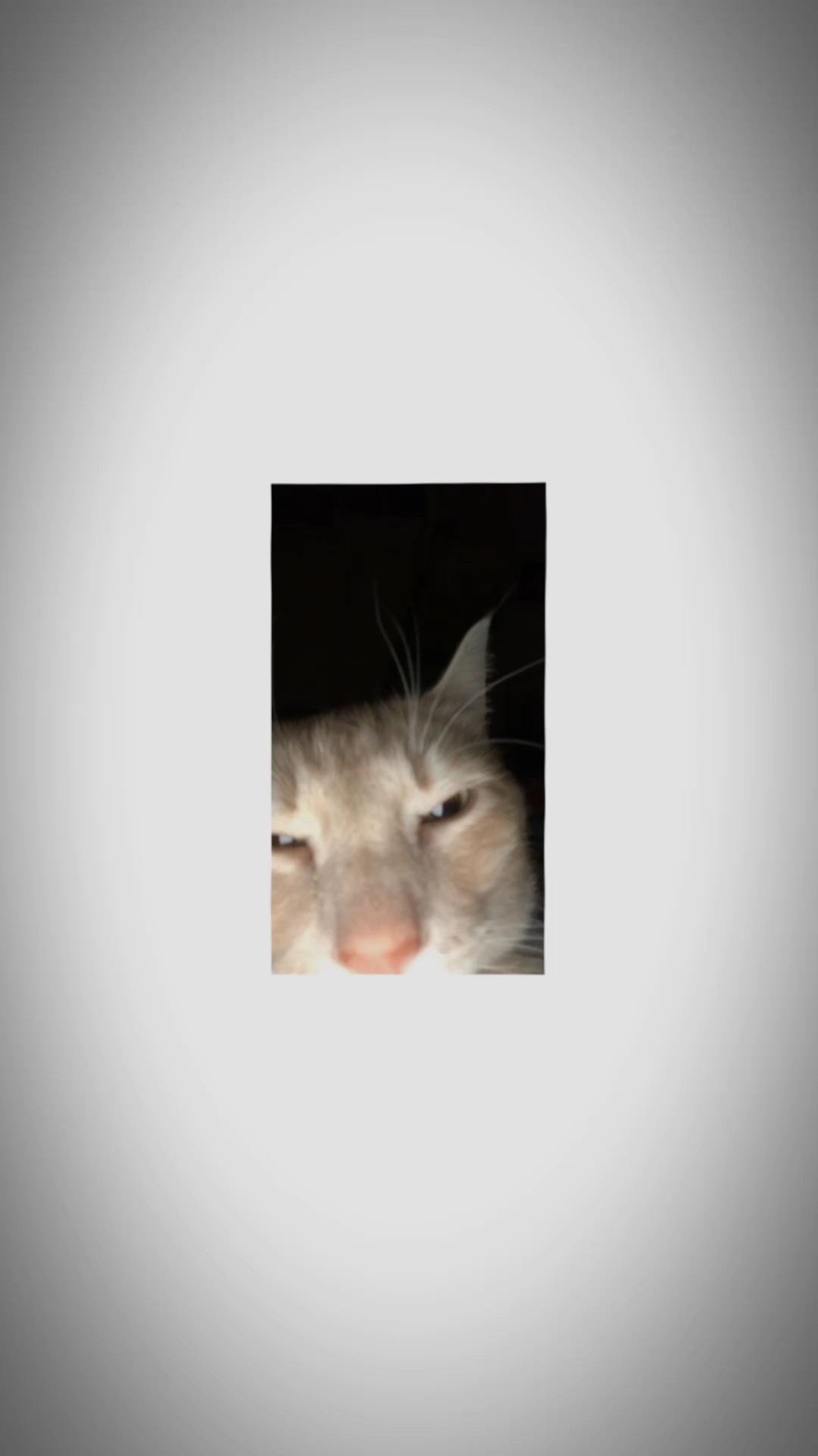 unantastbar 