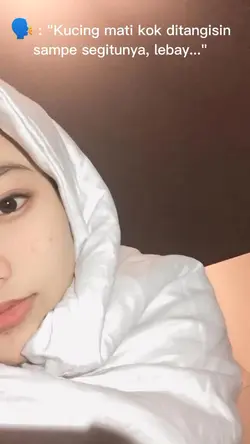 Story Wa