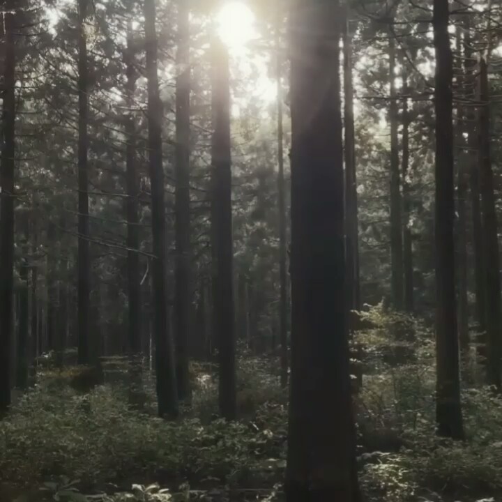 1 video
