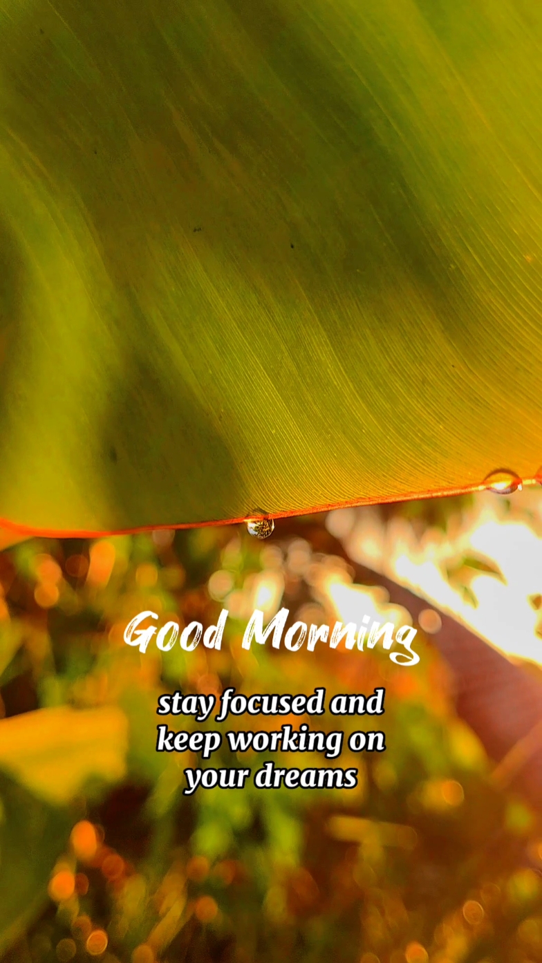 Selamat pagi