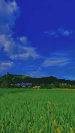 Slow thiên nhiên 