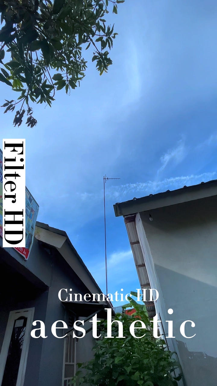 Sinematik 