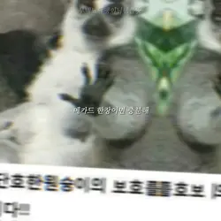 메카드