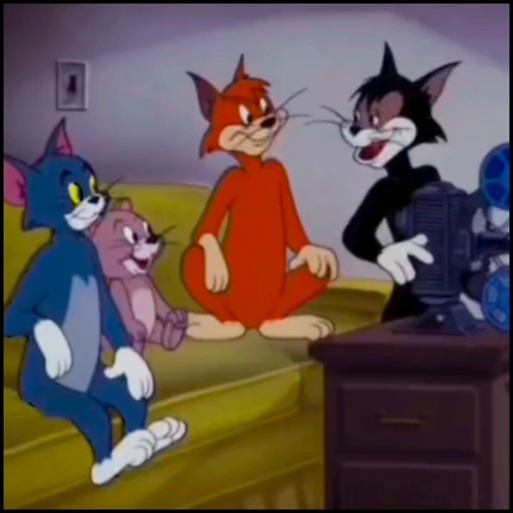 Programa de televisión