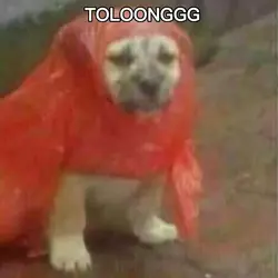 foto terciduk teman