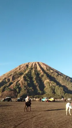 foto alam