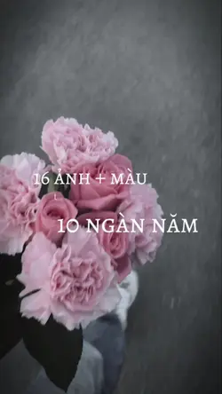 16 ảnh + màu
