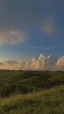 ah aneh sekali 