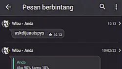 ss chat wa