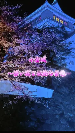 儚い桜と妖艶な景色