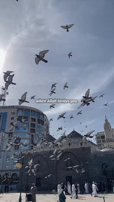 UMROH MOMENT 